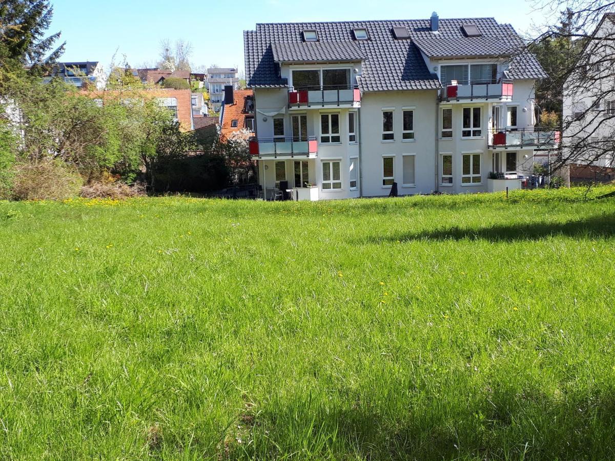 Homal * Konstanz
