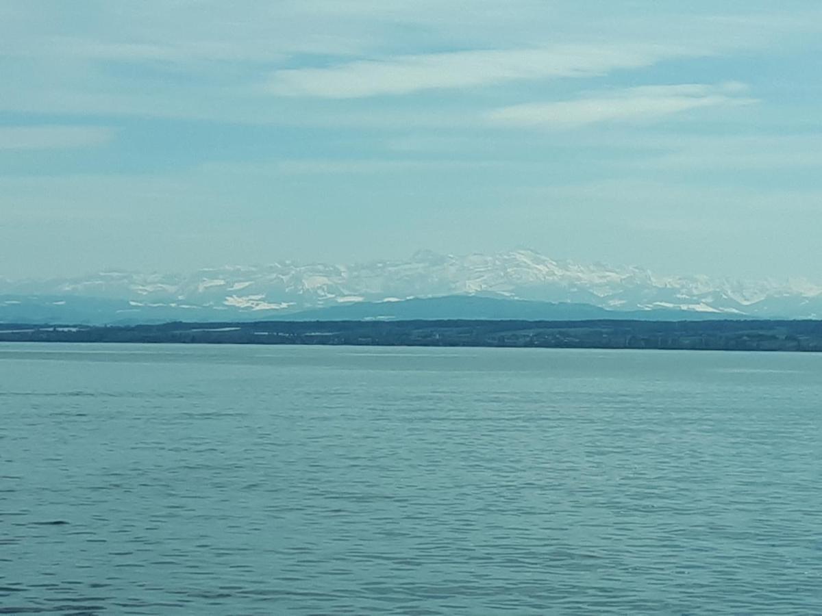 Homal * Konstanz